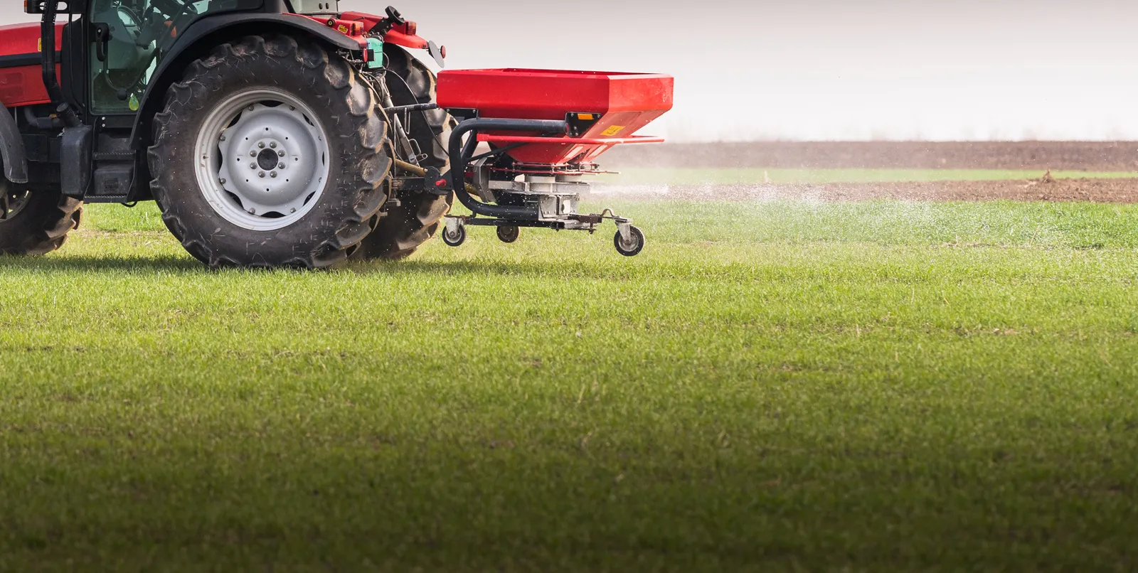 Fertilizers